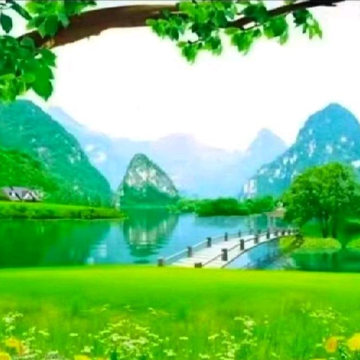 印刷搬运工