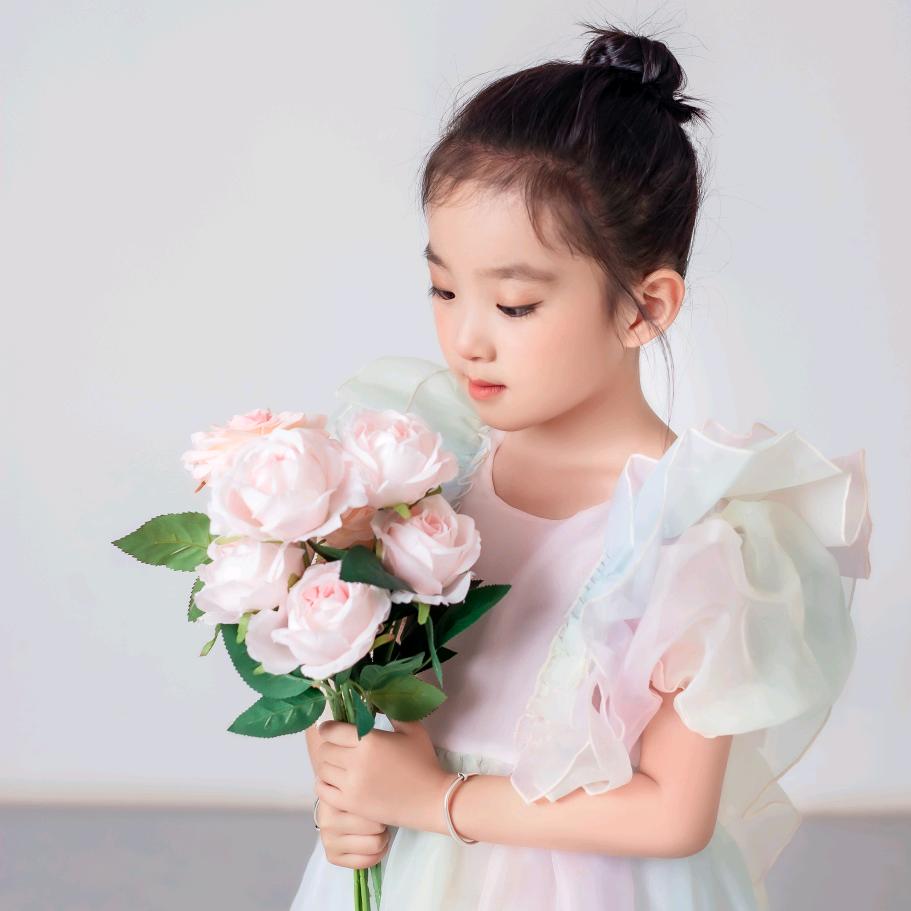 🦋聪明的蝴蝶🦋