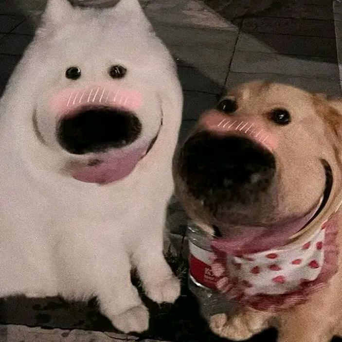 蓝桉
