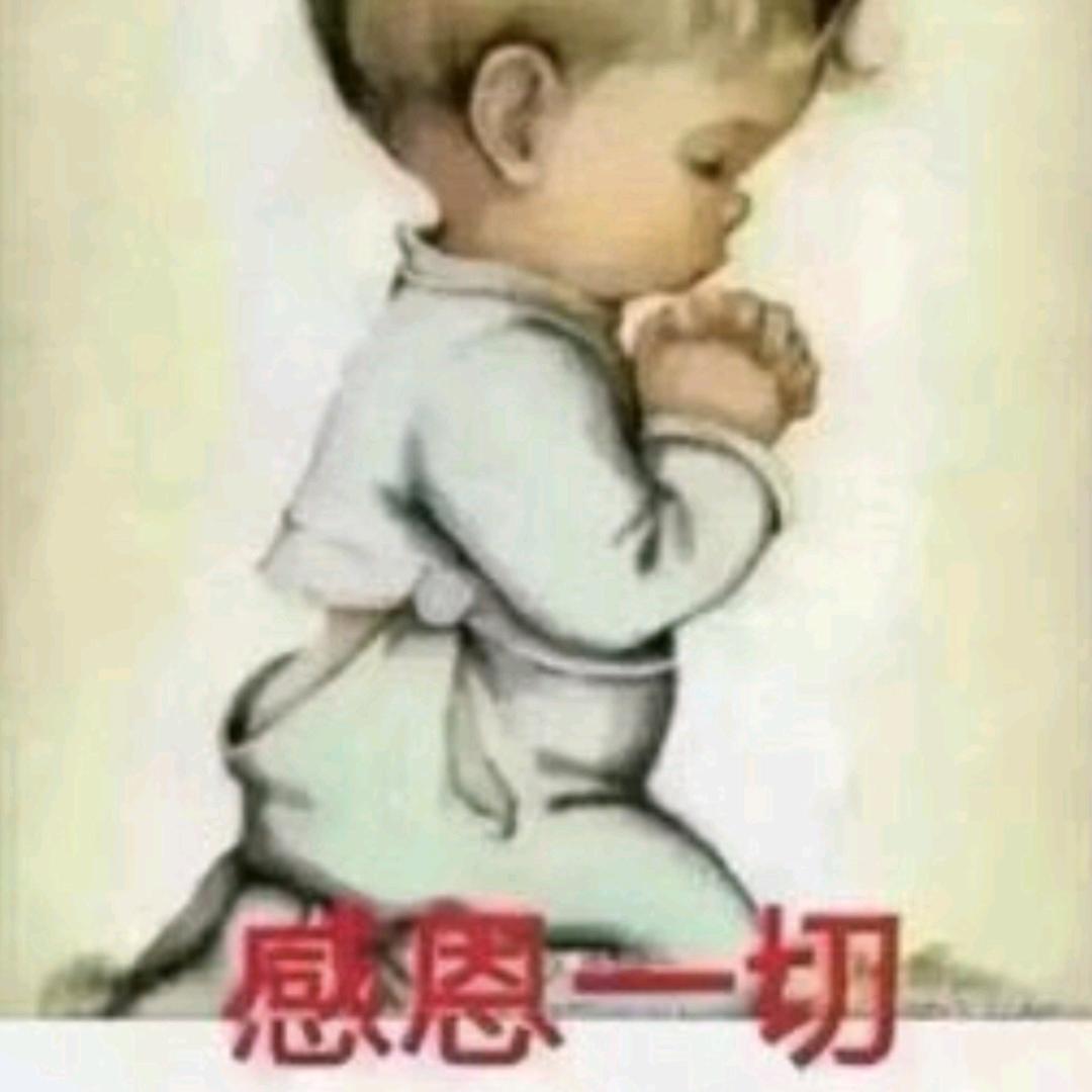 秋殇别恋