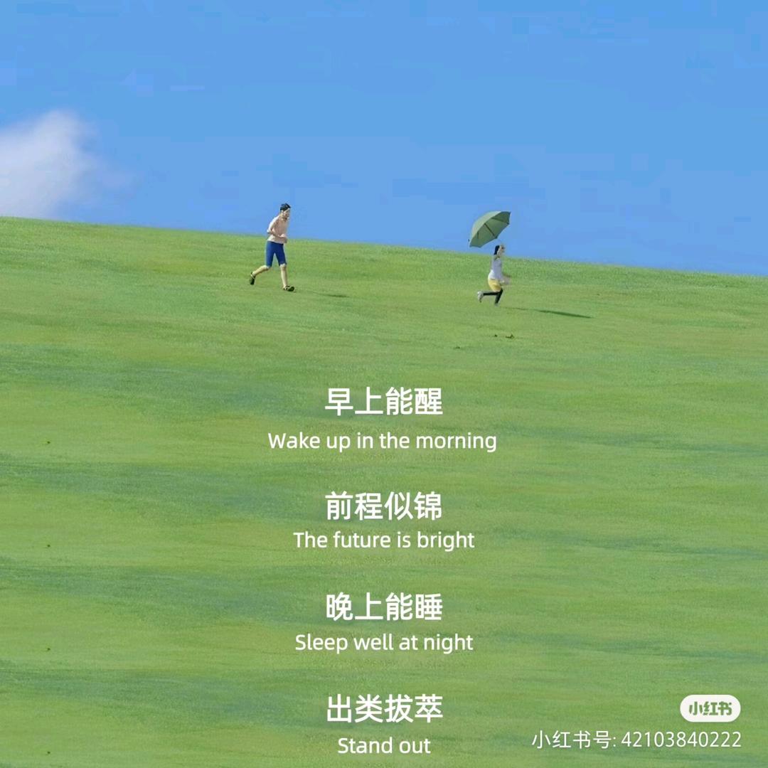 天天向上签