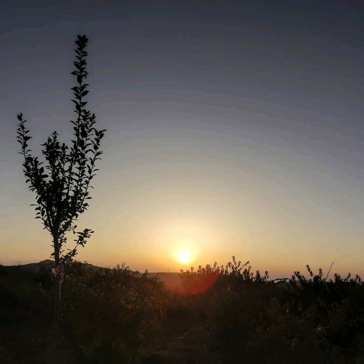 🕊ଓᩚ᭄獨꧔ꦿᩚ寵✧᭄ꦿღ涵  ꦿᩚ