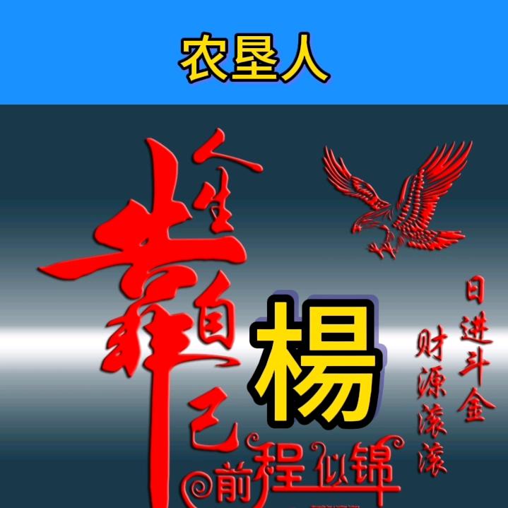 农垦人（中洲）
