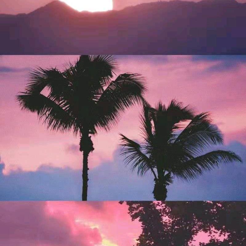 鹰迈森光学镜片望远镜