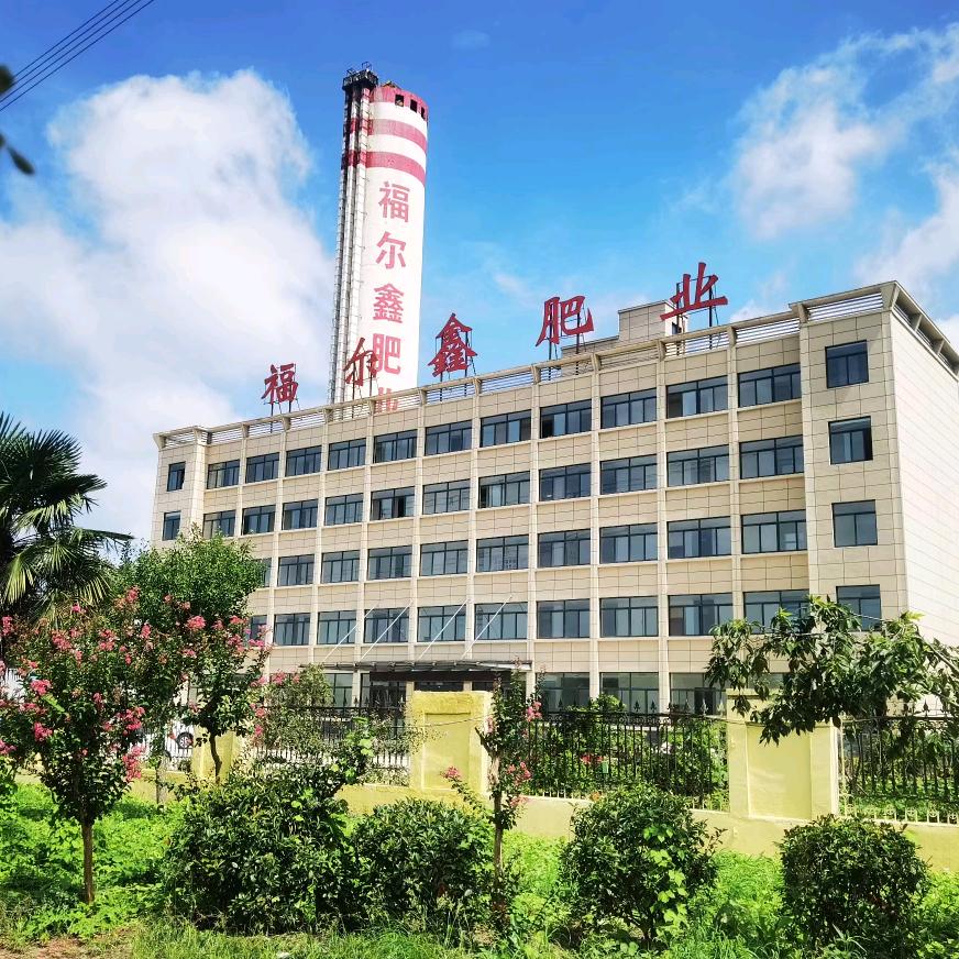 福尔鑫涛哥
