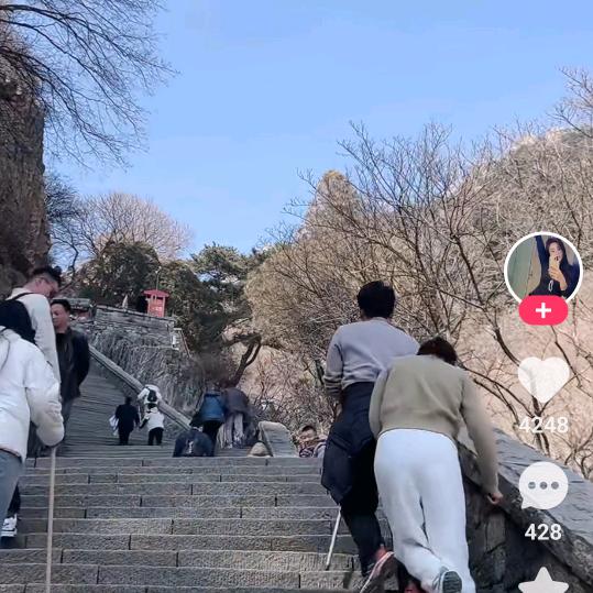 赌输了