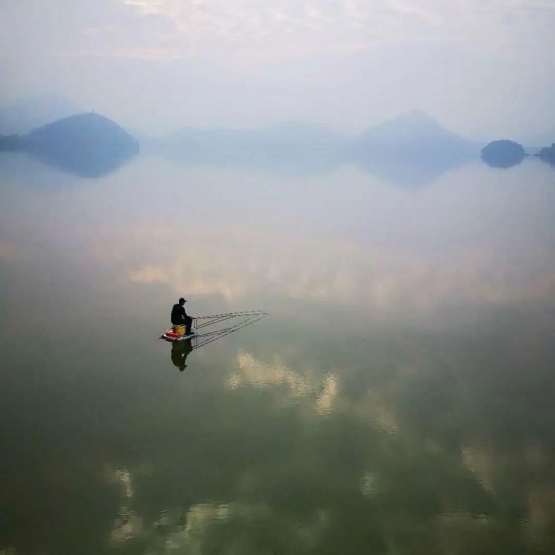 随风而动