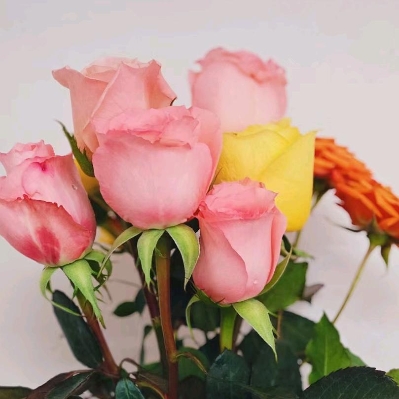 独白💐