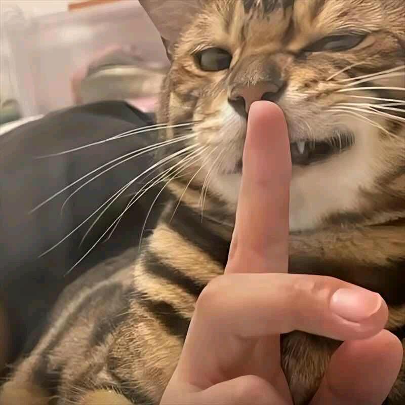 巴图鲁