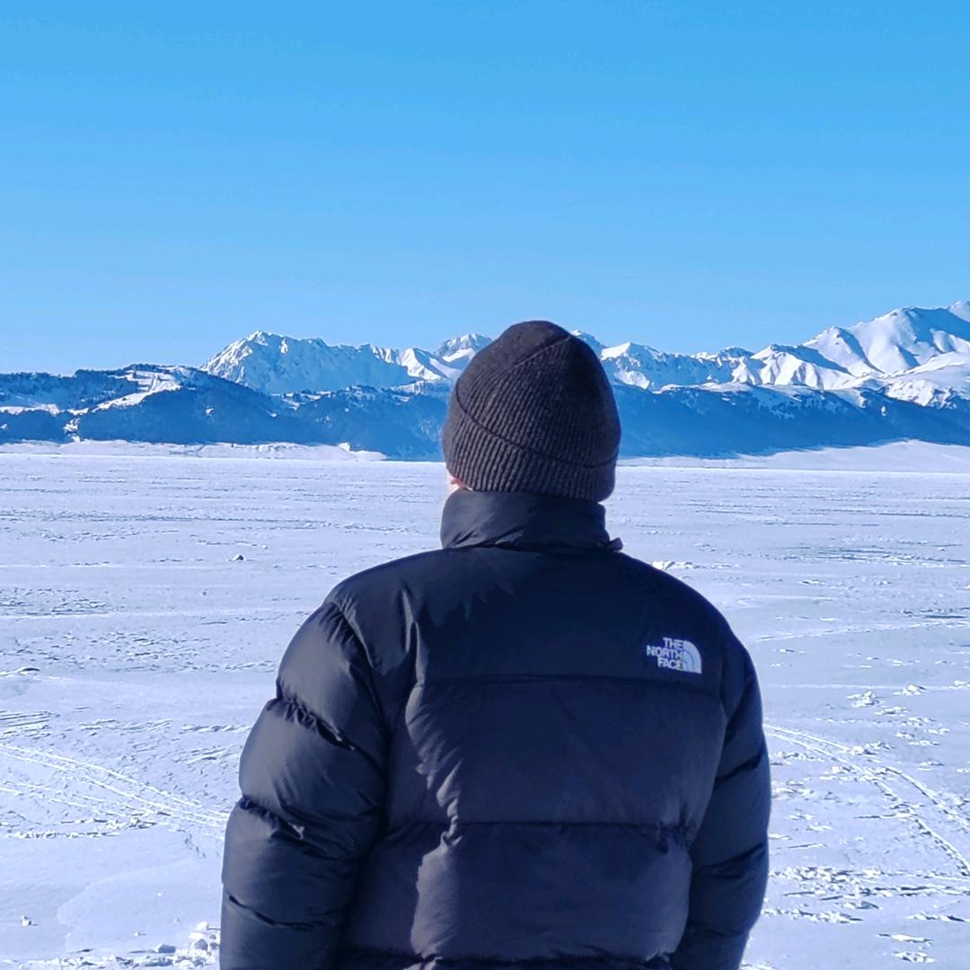 ── 展开88条回复 ⌵