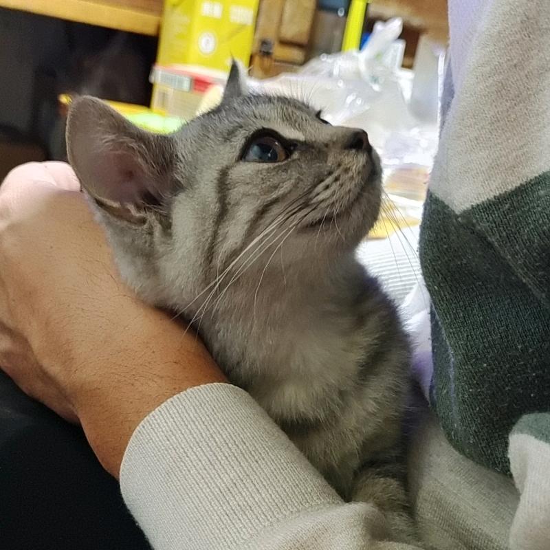 泡泡要抱抱