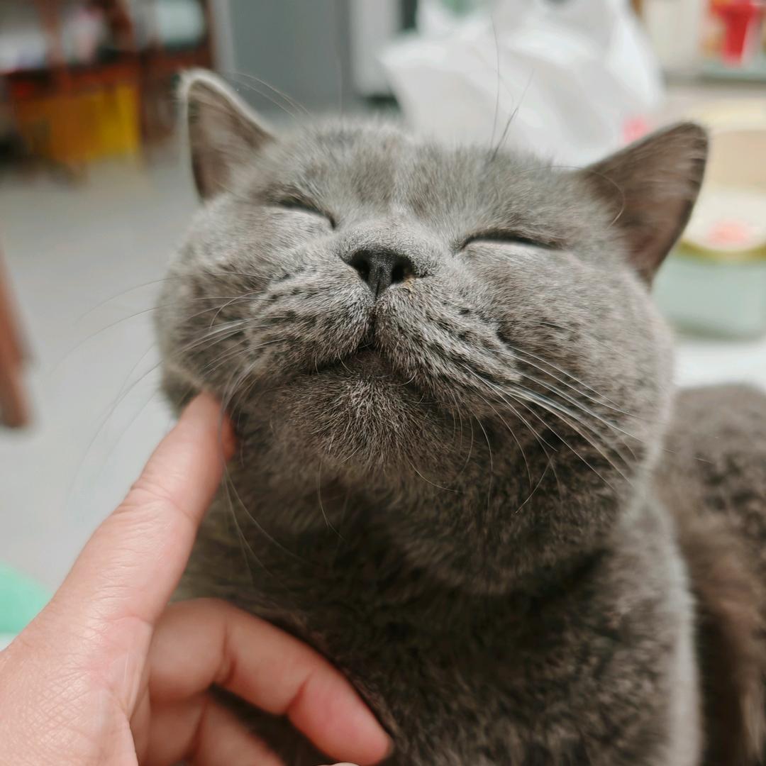 兰的视界