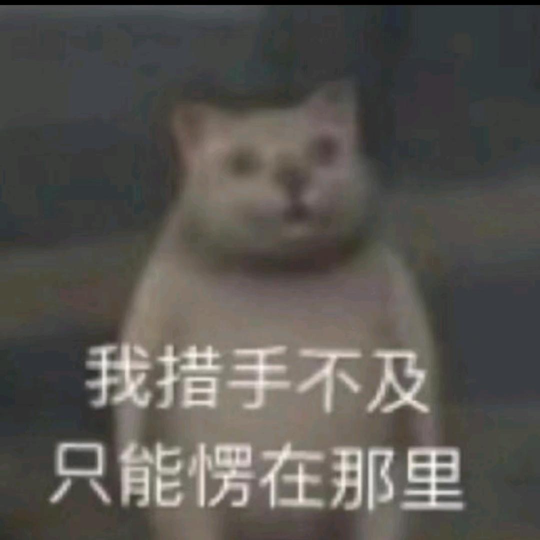 左右分清
