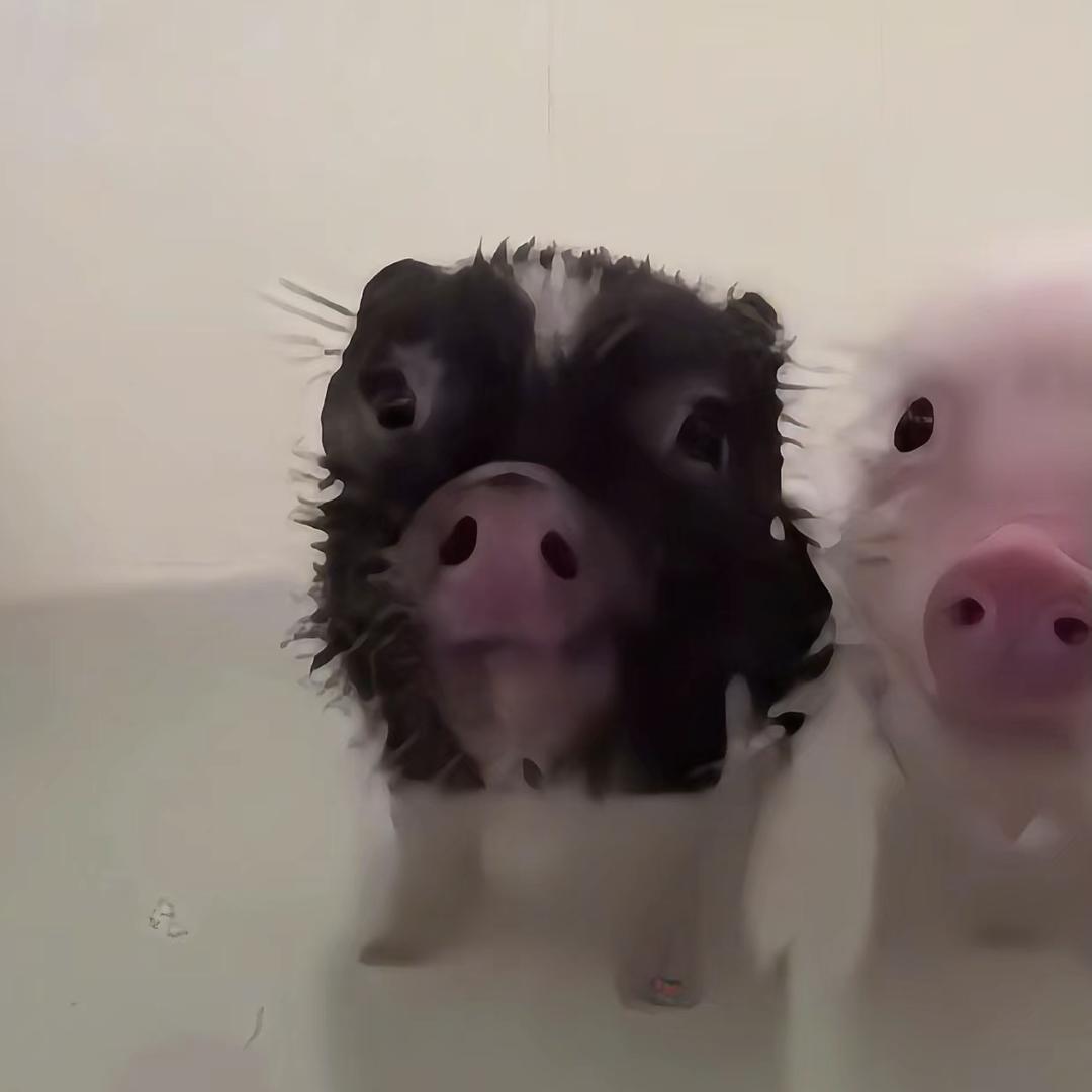 ૮₍ɵ̷﹏ɵ̷̥̥᷅₎ა