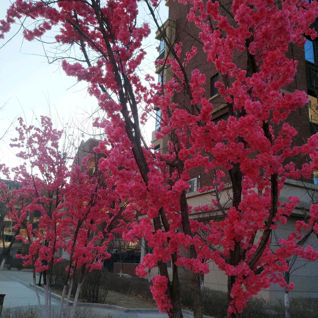 用户我是60后大姐51826103083