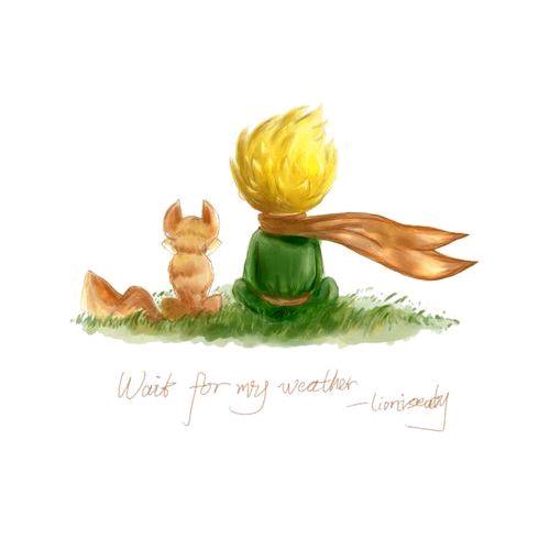 ❤️晚风、漫漫💐