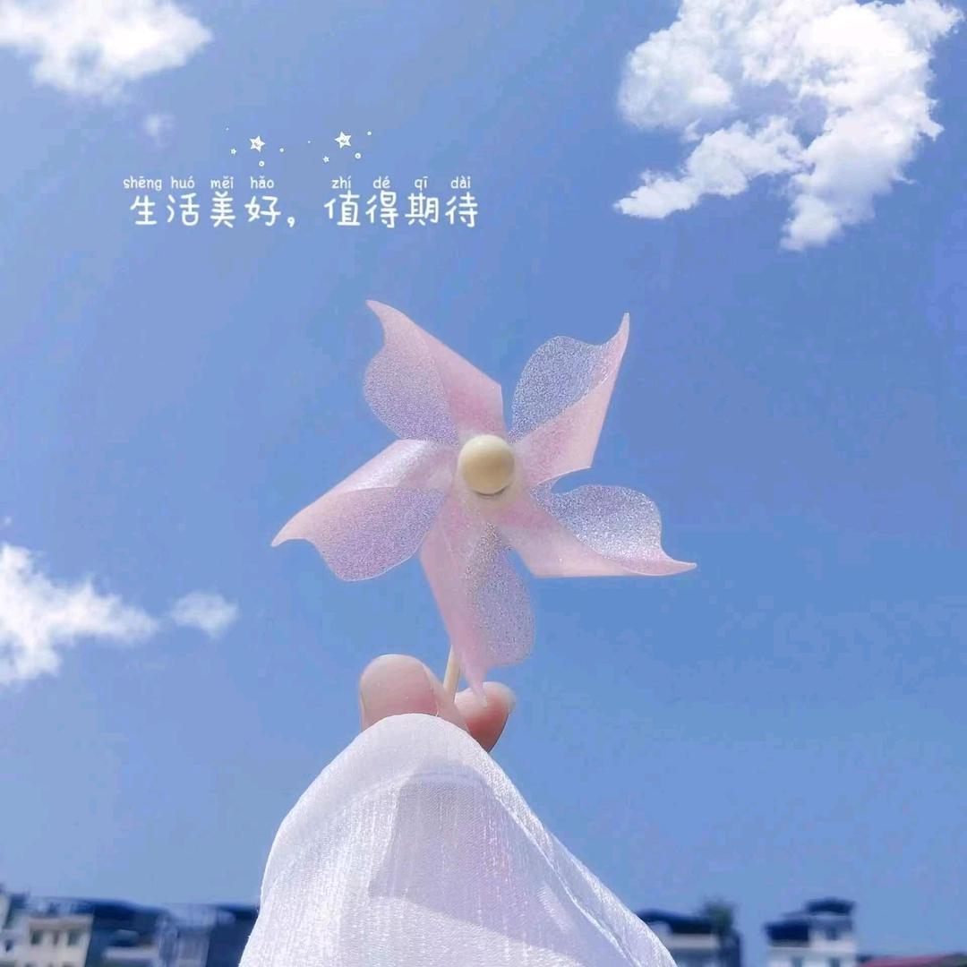 🌸✨️☀