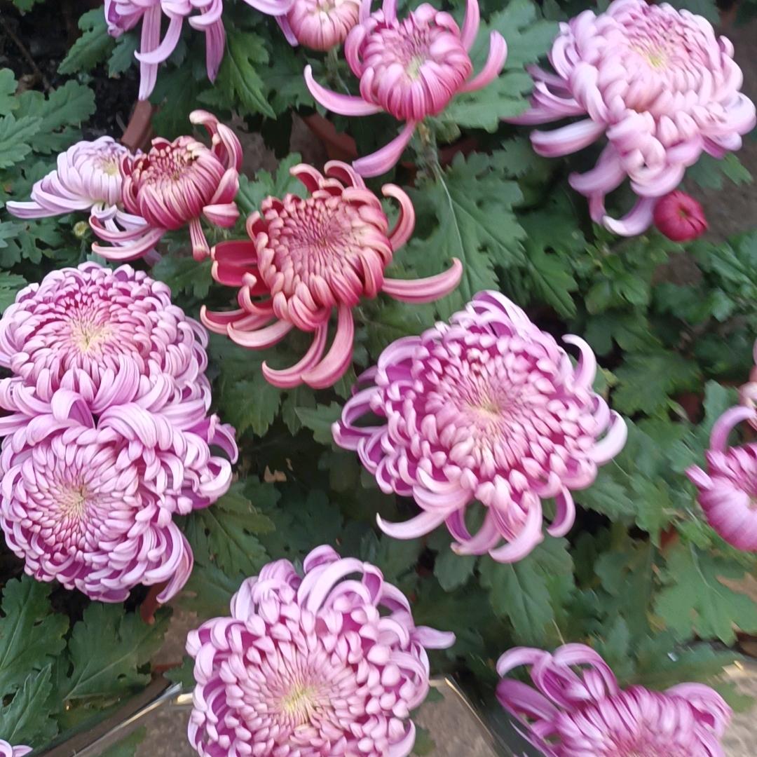 从零开始✌🏻️