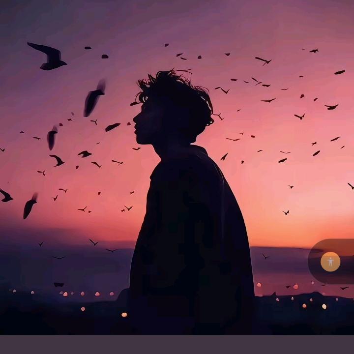 飞龙好物¹⁰⁸