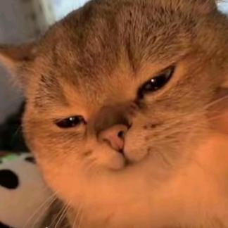 阿珍！你来真的啊？！