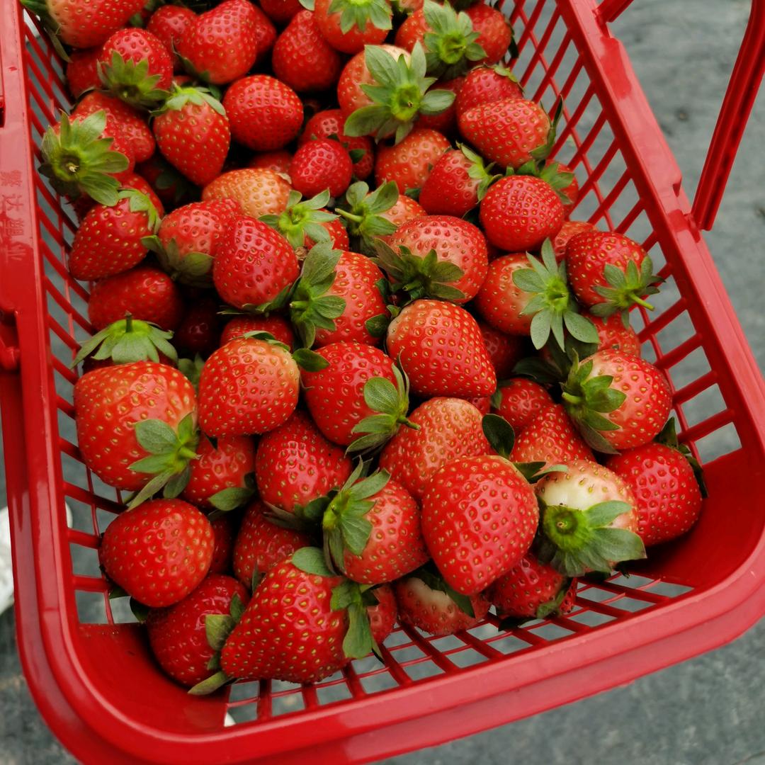 水颜素美肤中心（益和北路店）