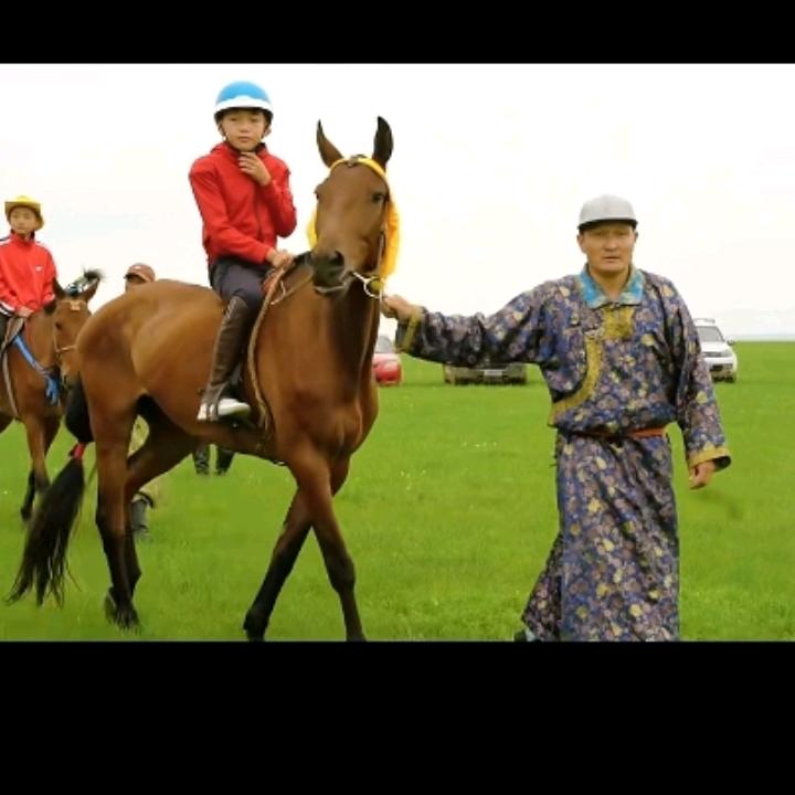 阿拉腃苏和