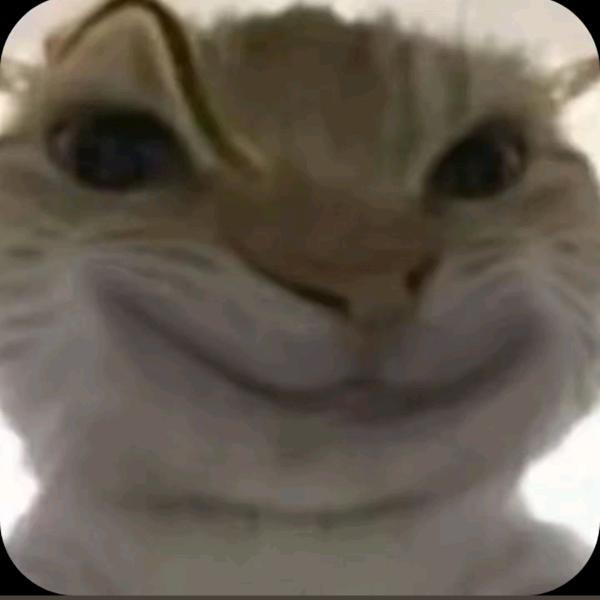 小起的上班日记