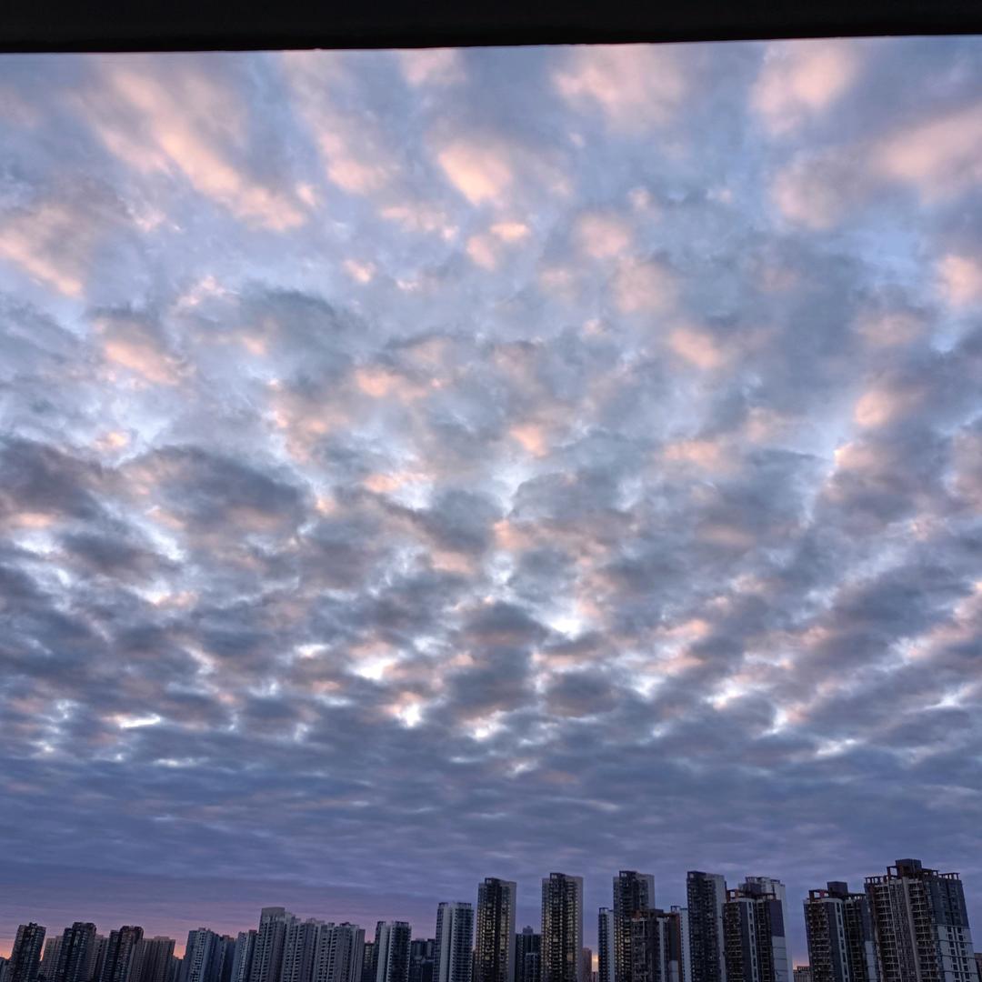 了明澧灿