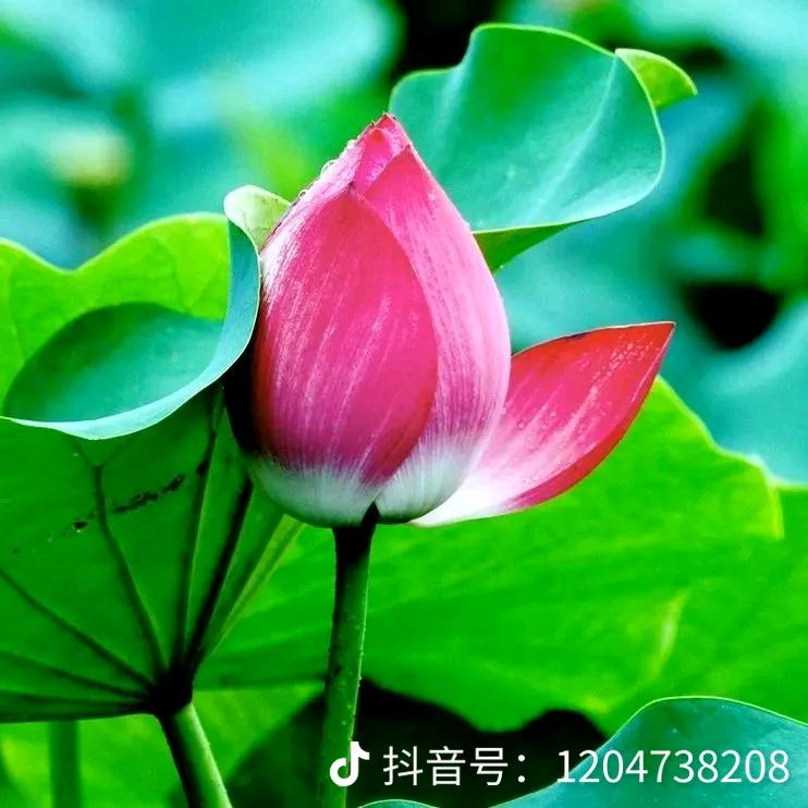 缘分。🍭🍭🍭