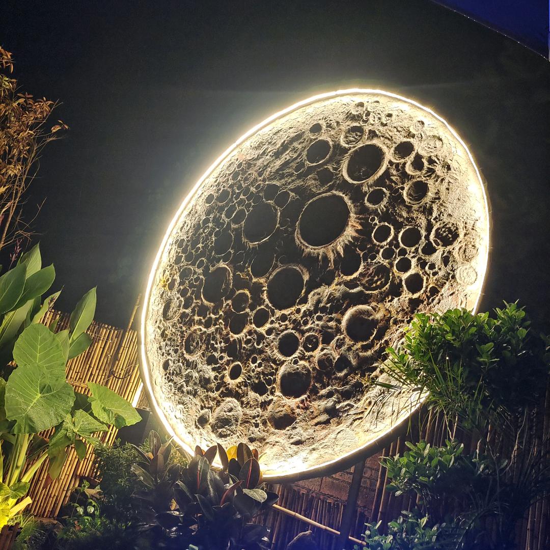 天使降临🐷🐷