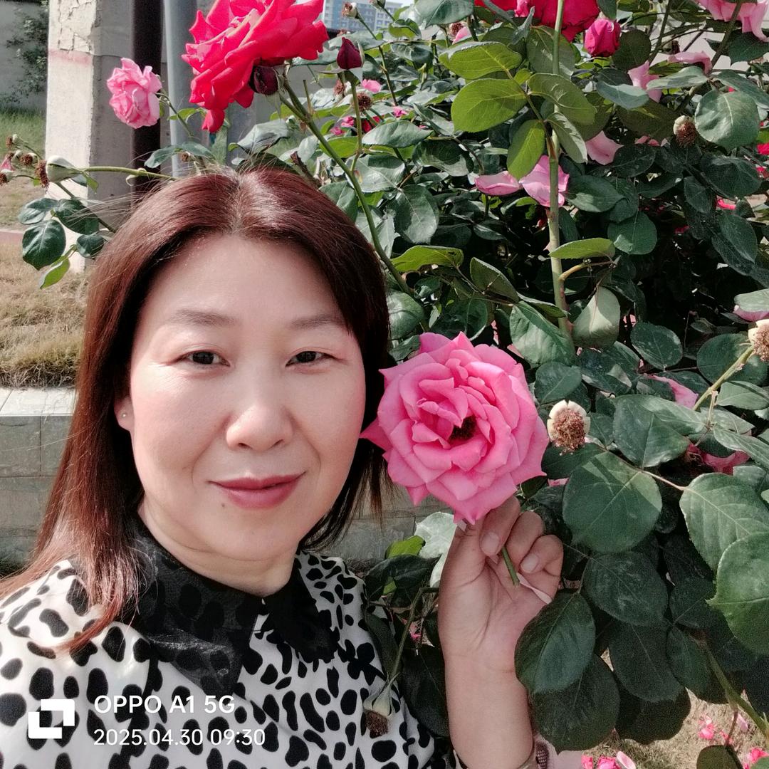 家乐羽绒被（德阳西街185号）