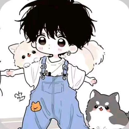 棕榈新版