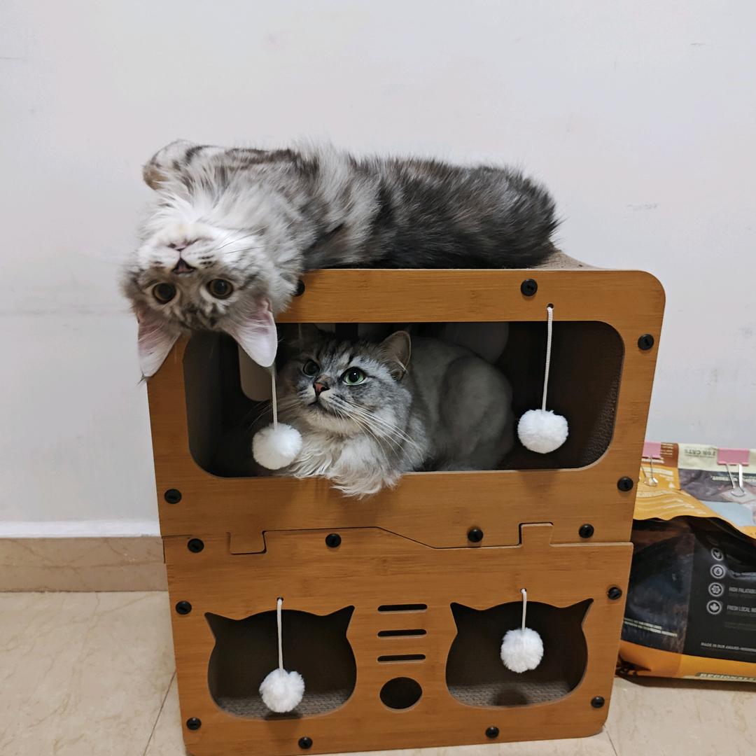 丶