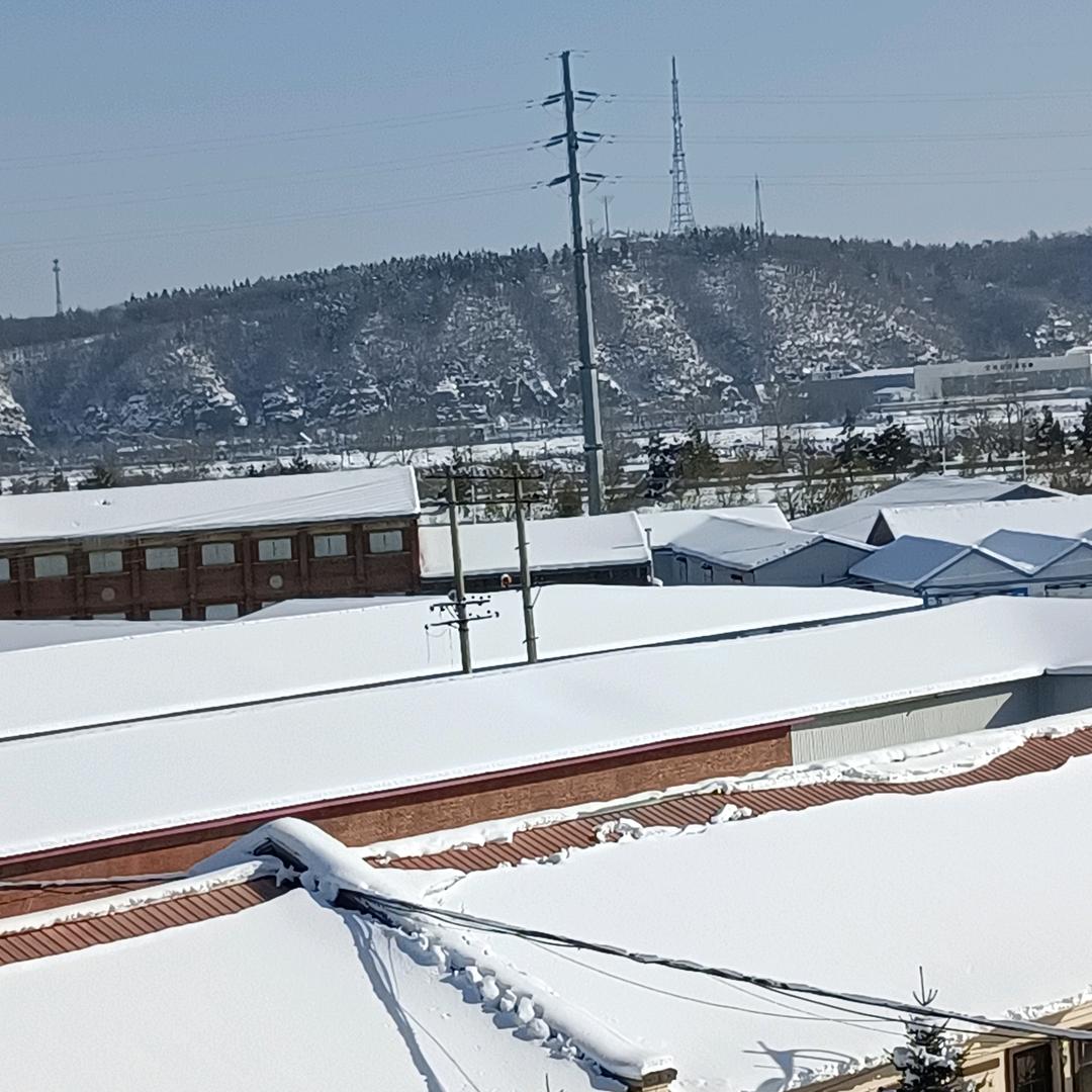 爱吃肉肉的江哥