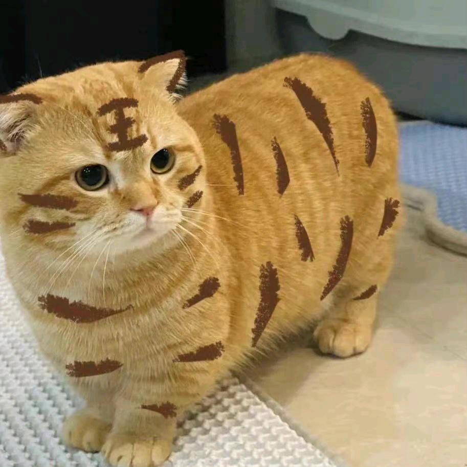困困大王