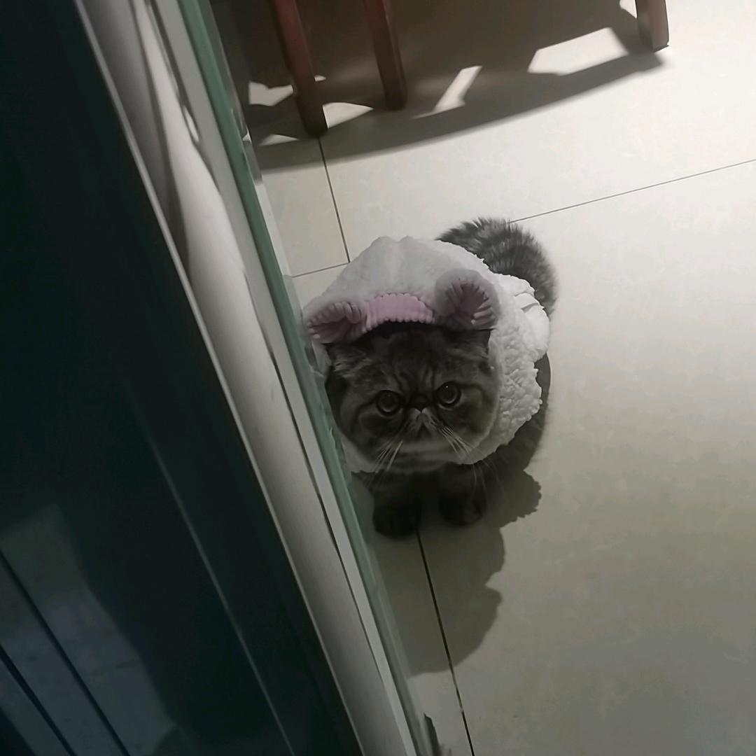 沙砾
