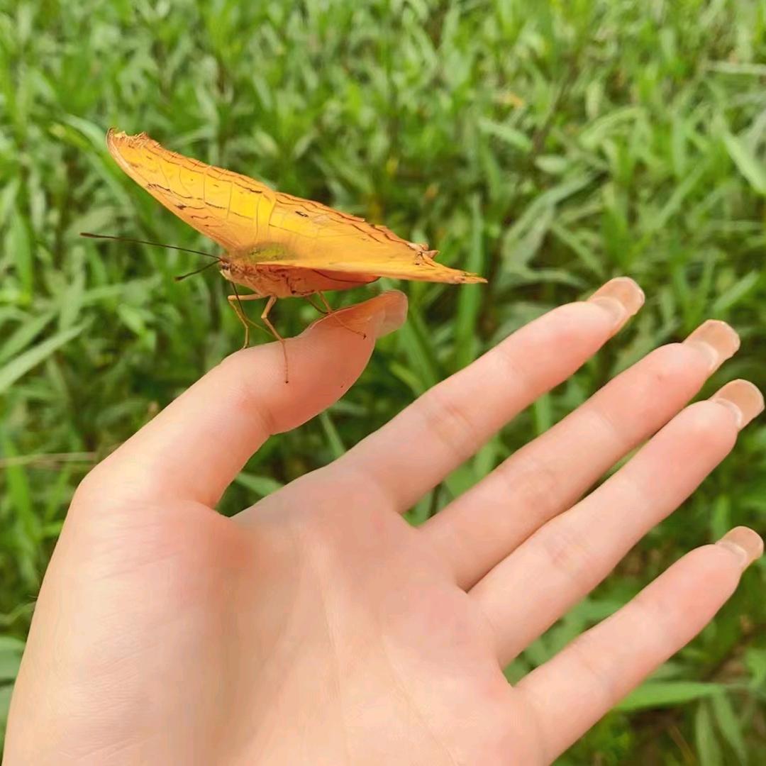 放飞心情