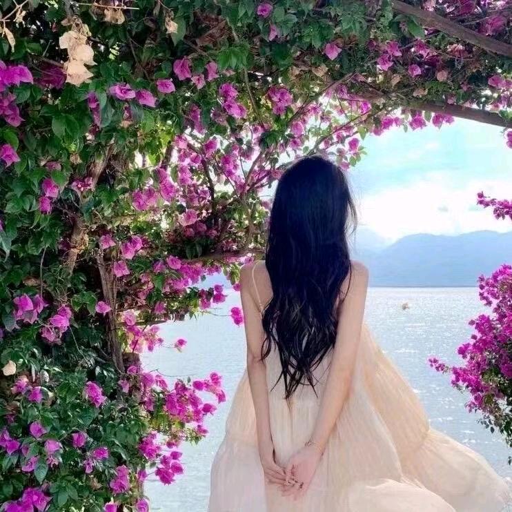 小杨扬❤️（舒城小兰花）