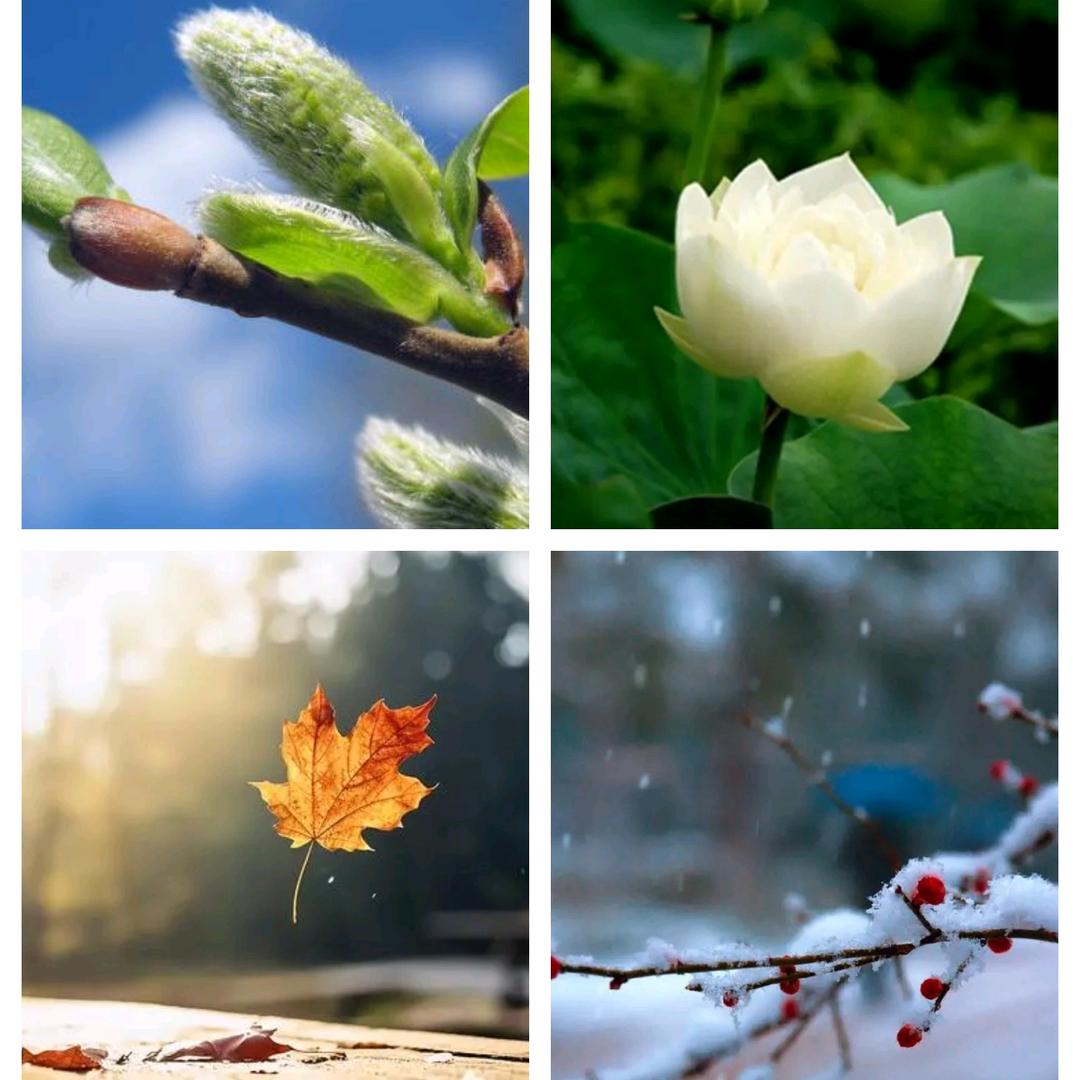 一路走，一路看。