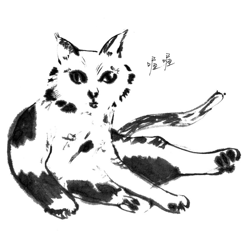 玊尔11