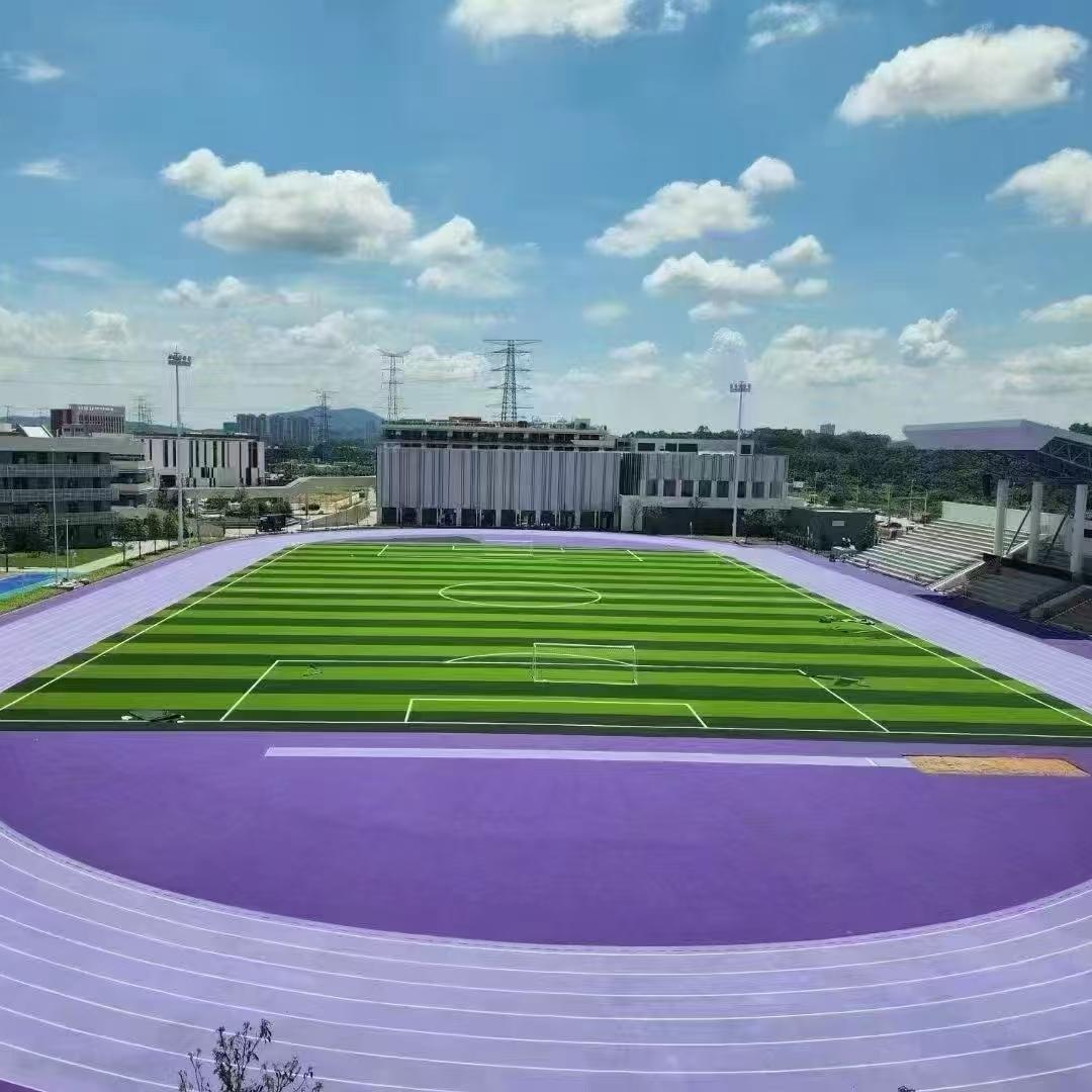 河北体育产业厂家