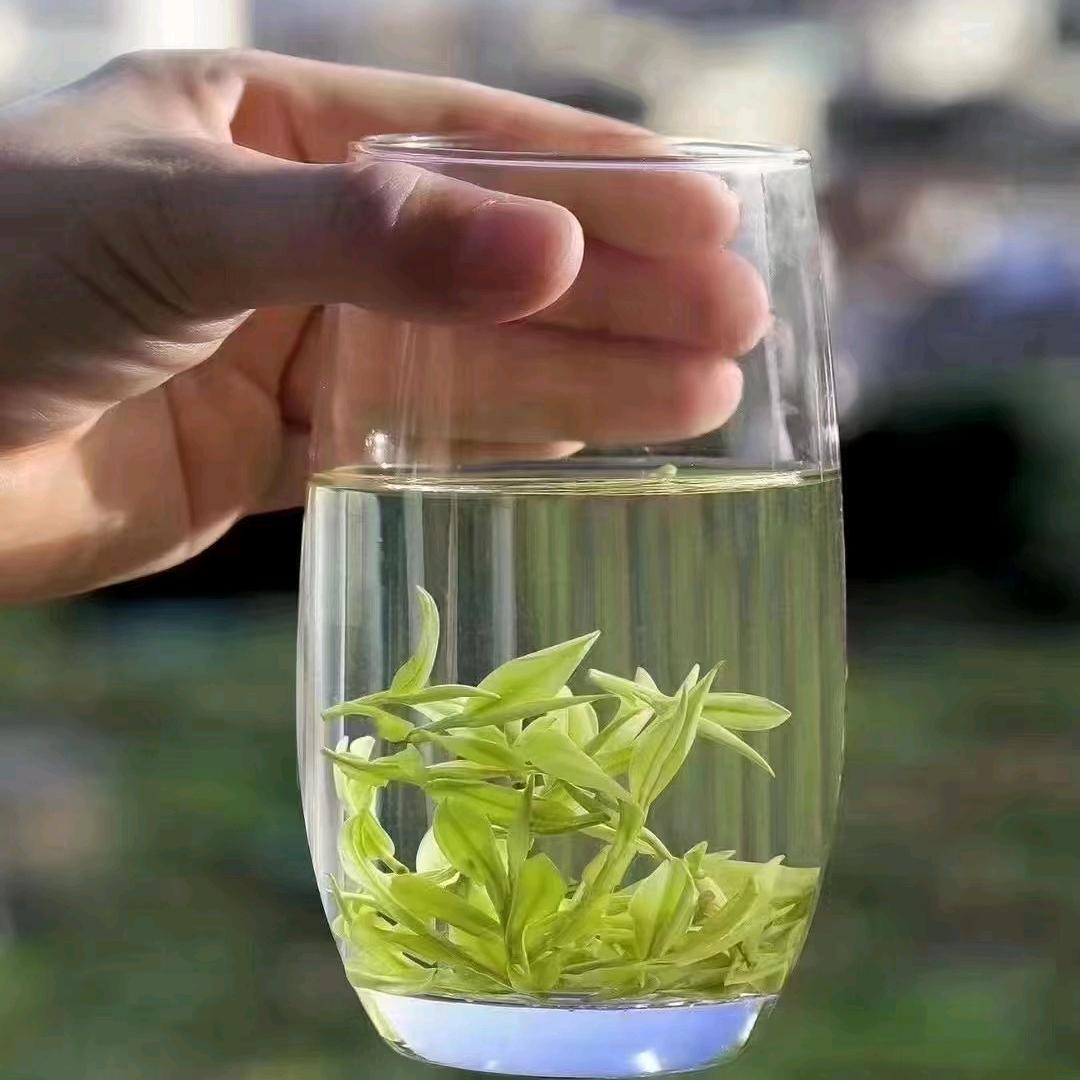 晨逸茶农（8687）