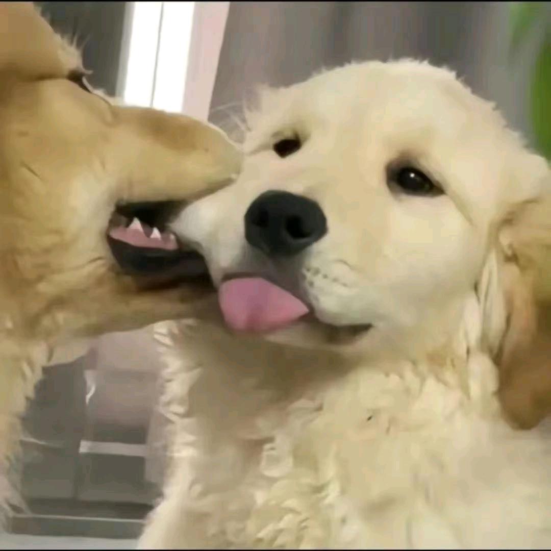 很有钱