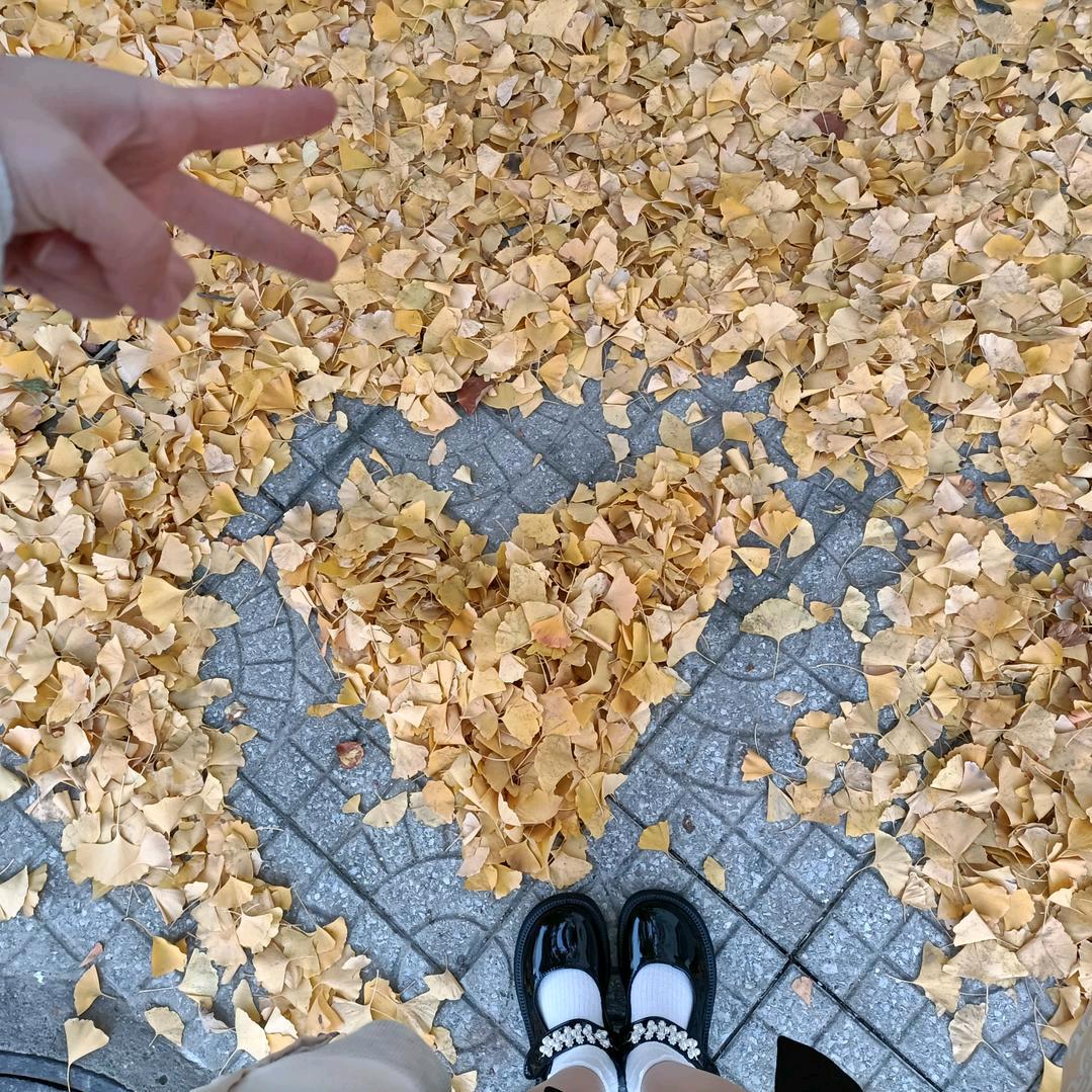 🌈眼中有星辰⭐（檀健次版）