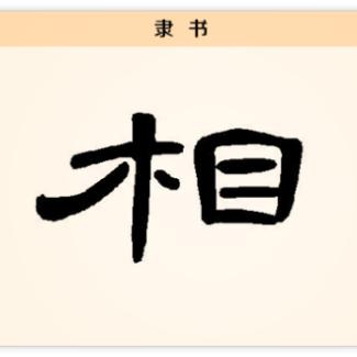 卢师傅mfc88m