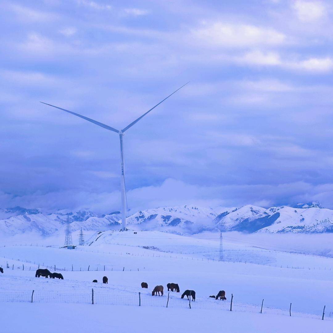 一建机电岸上的风景好吗