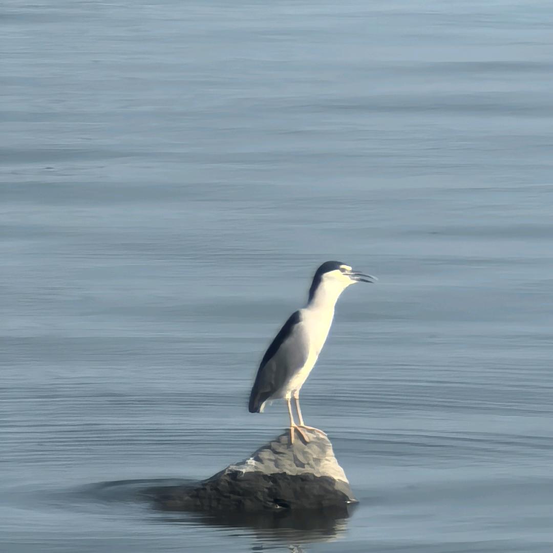 泽华慕容