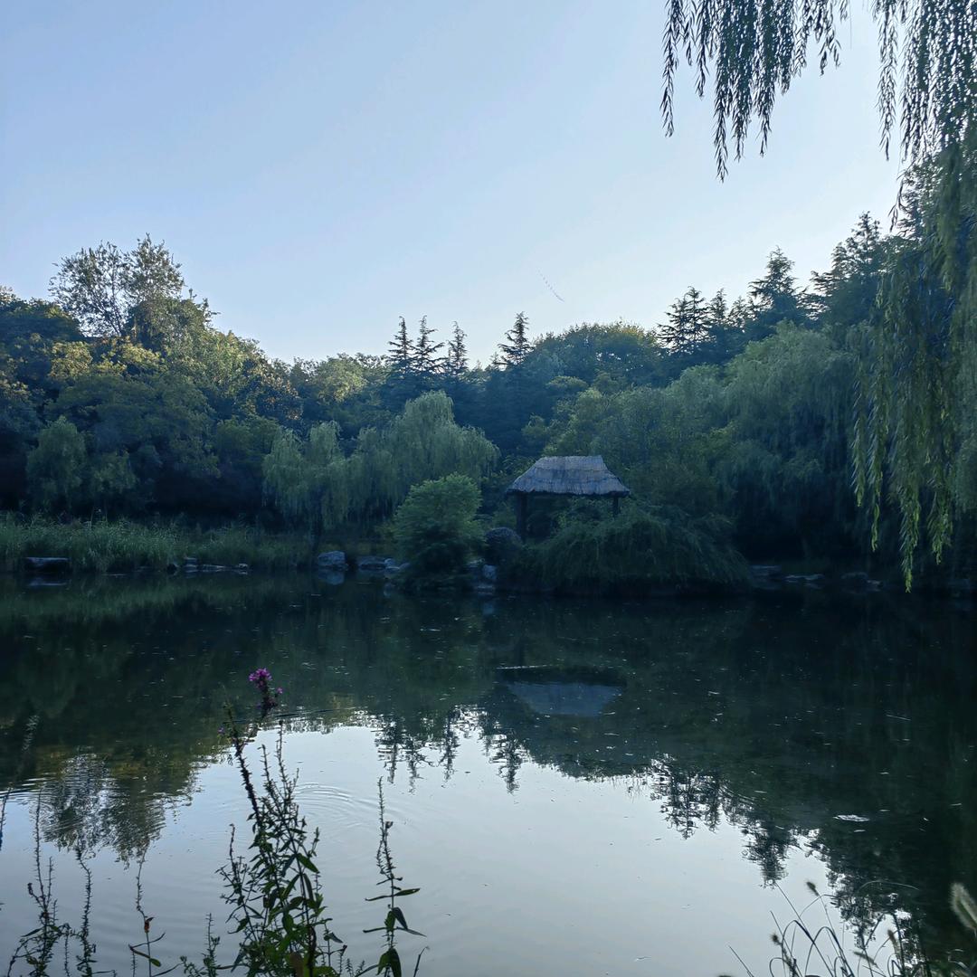 爱运动的韬