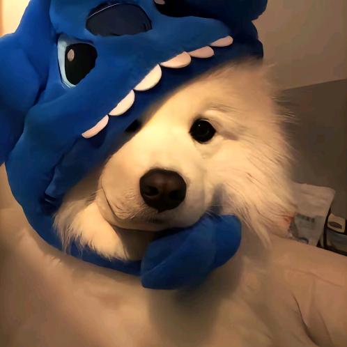 失