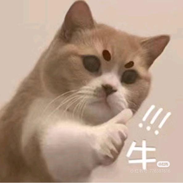 失恋音乐馆